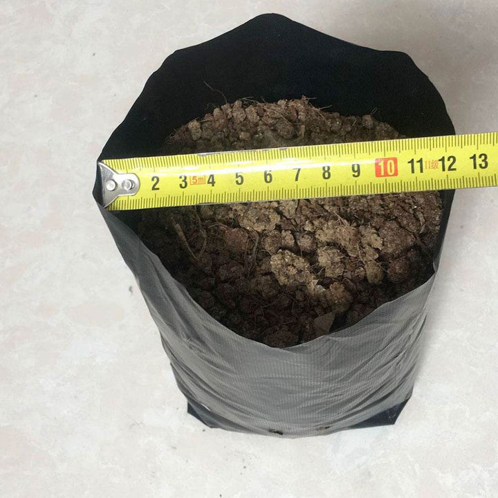 Flower nursery nutrition bag - ZEYTONCART