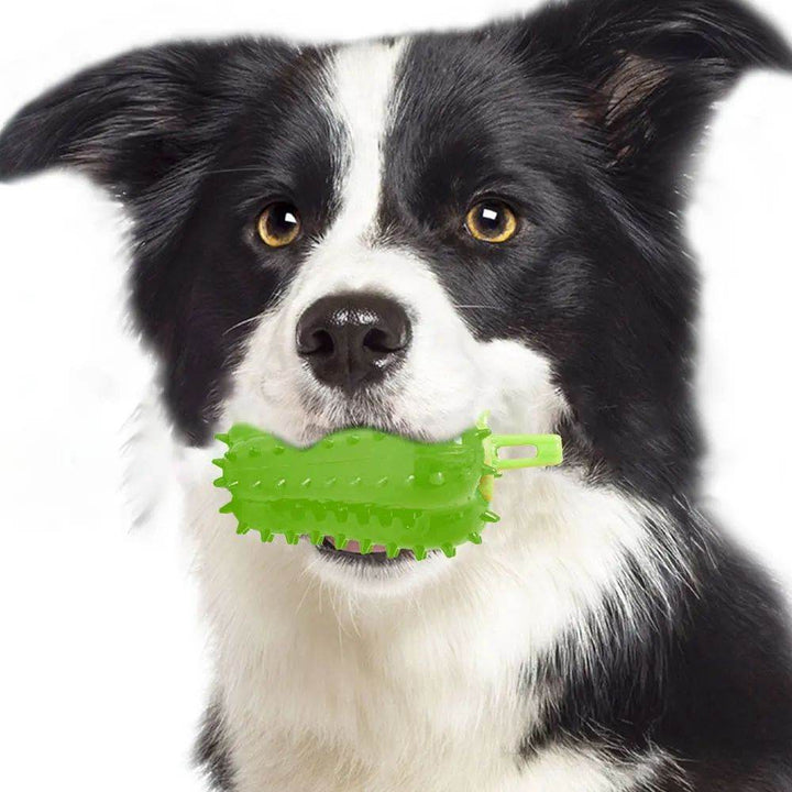 Interactive Dog Teething Chili Chewers Toy Interactive Toys Dog Toys - ZEYTONCART