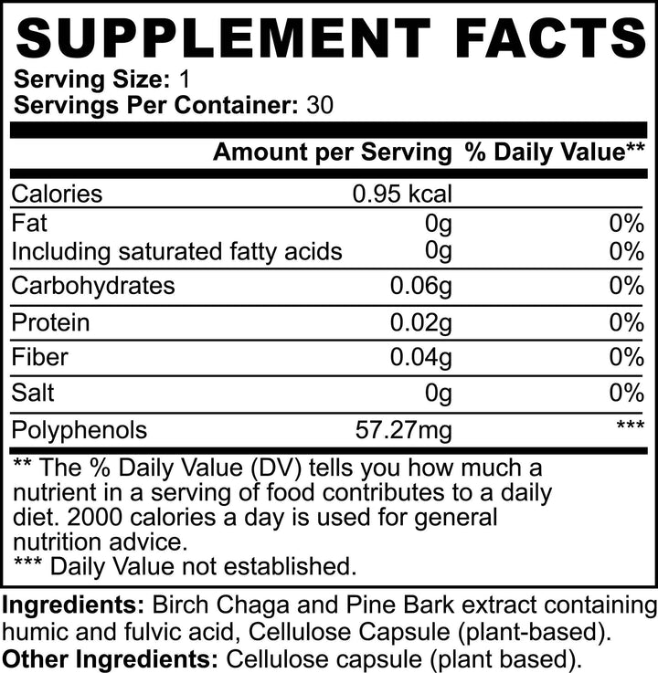 Natural Gut Wellness Capsules - ZEYTONCART