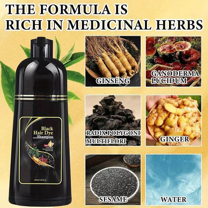 2pcs Black Hair Colouring Shampoo Natural Herbal Essence 3 in 1 Colouring Shampoo Clean Dandruff Removing for Covering White - ZEYTONCART