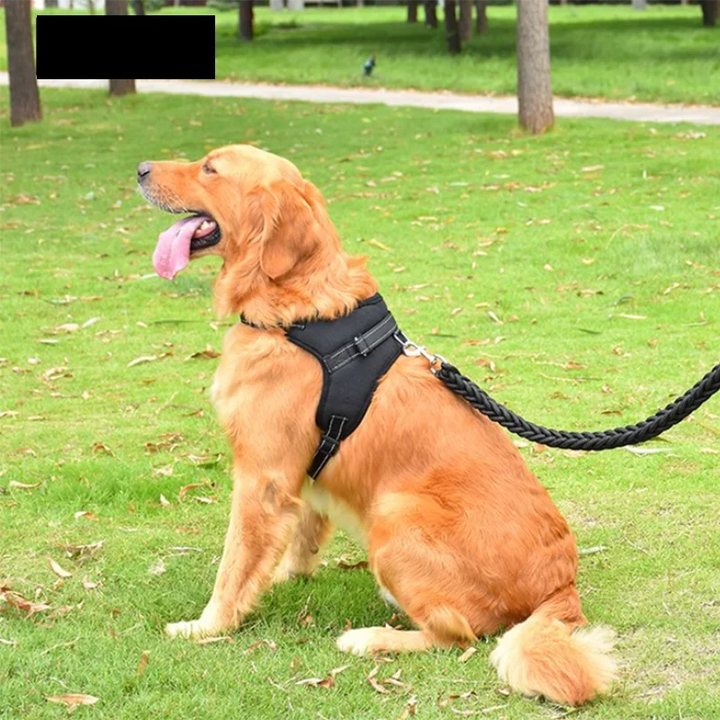Pet Dogs Adjustable Harness Small and Large Dog Harness Vest,150cm Strong Dog Leash Pet Leashes Reflective Leash Drag Pull Tow - ZEYTONCART