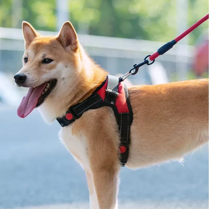 Pet Dogs Adjustable Harness Small and Large Dog Harness Vest,150cm Strong Dog Leash Pet Leashes Reflective Leash Drag Pull Tow - ZEYTONCART