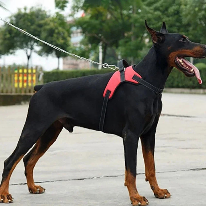Pet Dogs Adjustable Harness Small and Large Dog Harness Vest,150cm Strong Dog Leash Pet Leashes Reflective Leash Drag Pull Tow - ZEYTONCART