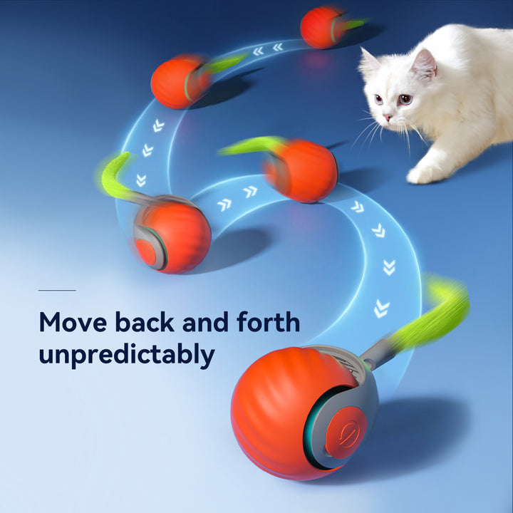 2025 Smart Interactive Cat Ball,Type-C Rechargeable Interactive Cats Toy,Automatic Cat Teaser Toy,Pet Supplies,New Year Gift - ZEYTONCART