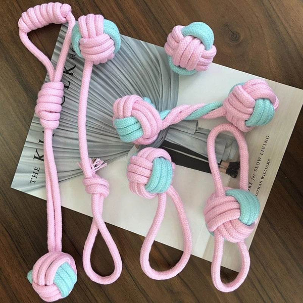 Interactive Training Pet Molar Supplies - ZEYTONCART