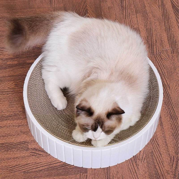 Cat Scratch Plate Round Pet Supplies - ZEYTONCART