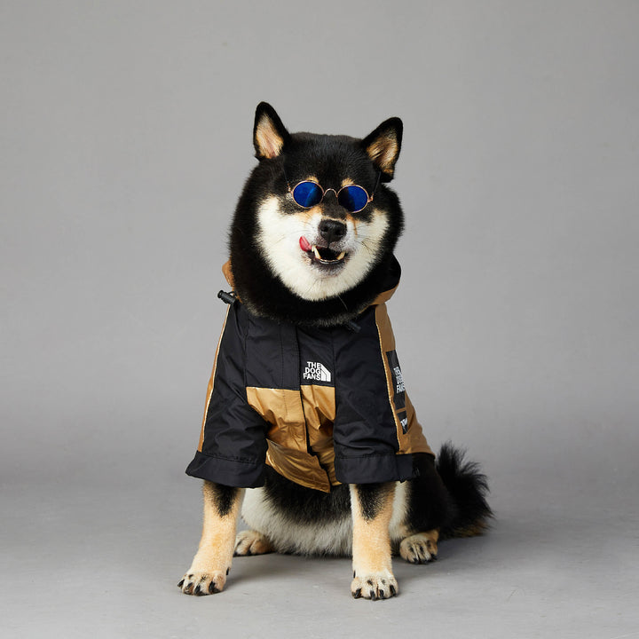 Dog Large Dog Raincoat Pet Jacket - ZEYTONCART