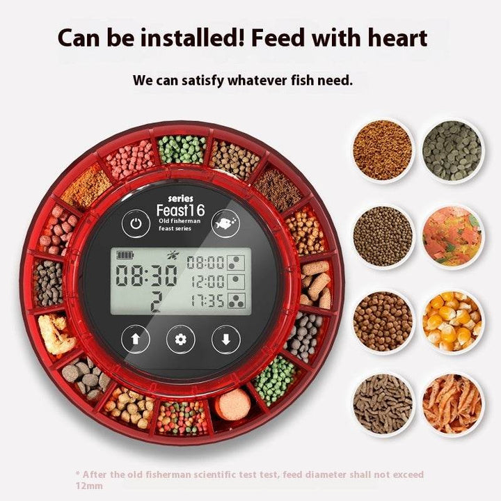 Feeding Artifact Fish Tank Timing Automatic Feeding - ZEYTONCART