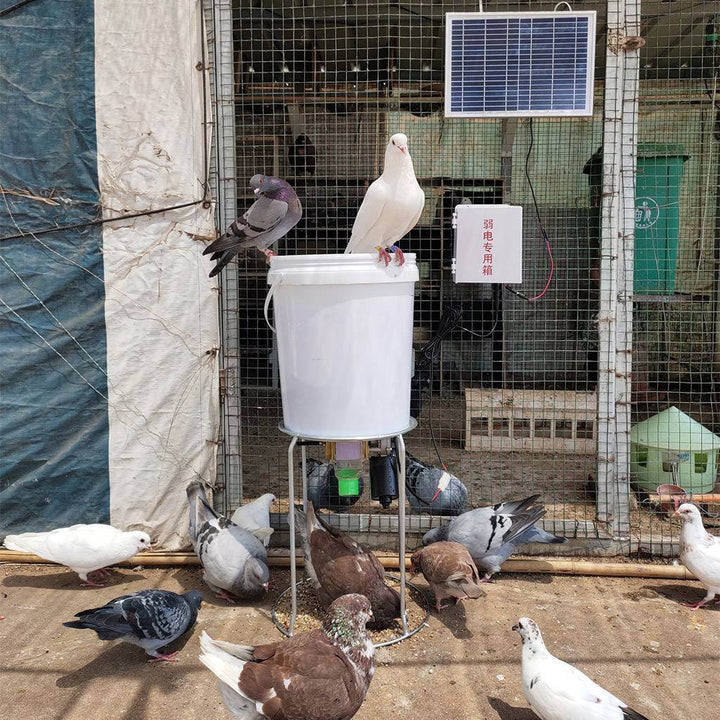 Automatic Chicken Feeding Device Duck Feeding Machine Timer Solar Energy - ZEYTONCART