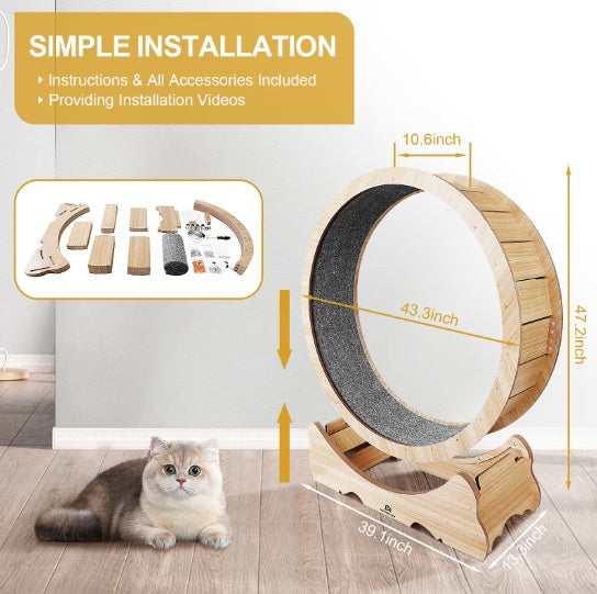 Cat Exercise Treadmill With Carpeted Runway - ZEYTONCART
