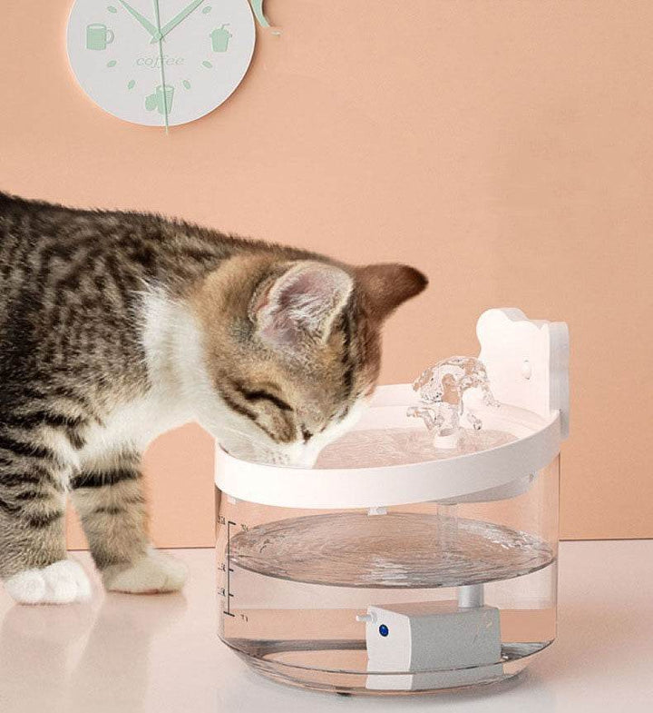 Three Generations Of Cat Water Dispensers Circulate Automatically - ZEYTONCART
