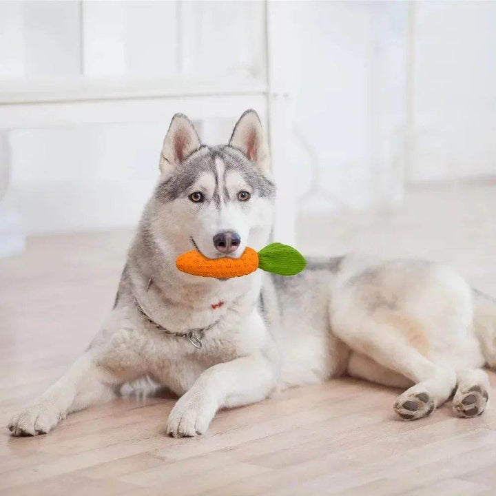 Carrot Dog Chew Toys Durable Rubber Squeaky Toy Shaped Dog Toys For Dogs Boredom Chewers Toothbrush Toy Supplies - ZEYTONCART