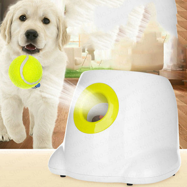 Dog Pet Automatic Interactive Ball Launcher - ZEYTONCART