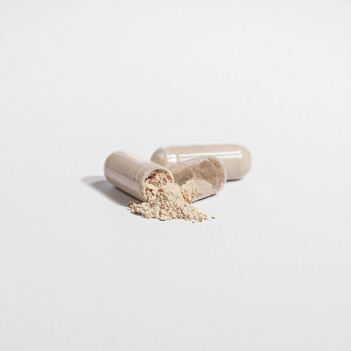 Premium Reishi Mushroom Immune Support, Stress Relief, And Overall Wellness - ZEYTONCART