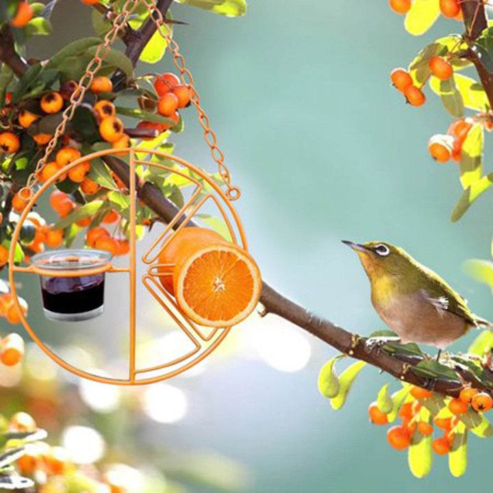 Hanging Metal Bracket For Outdoor Feeding Of Hummingbirds - ZEYTONCART