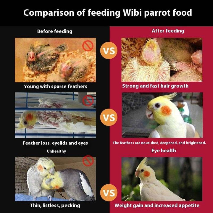 Birds Freddie Wong Mixed Grain With Shell - ZEYTONCART