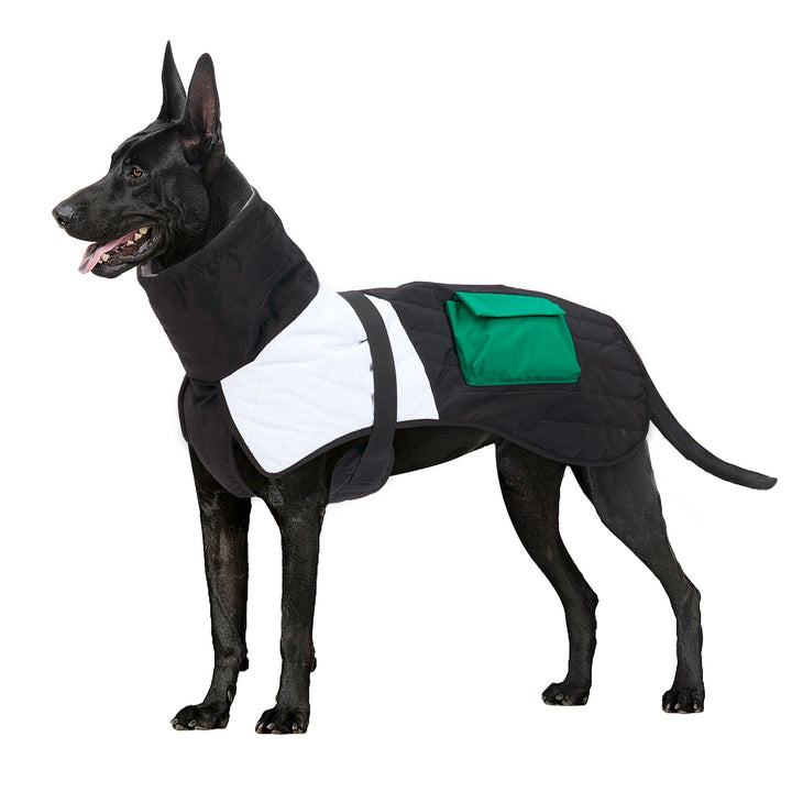 Pet Dog Clothes Winter Thickened Warm Dog Padded Winter Coat - ZEYTONCART