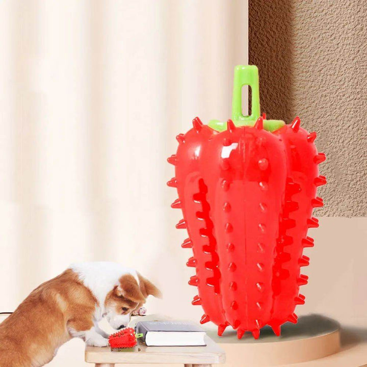 Interactive Dog Teething Chili Chewers Toy Interactive Toys Dog Toys - ZEYTONCART