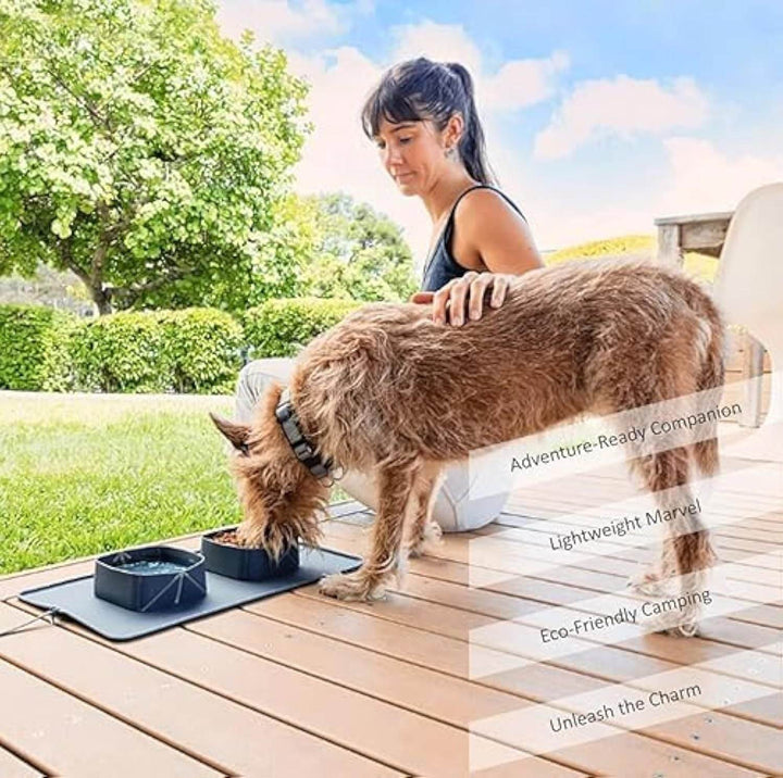 Generic Portable Pet Feeder Silicone Bowls For Dog And Cat Travel Collapsible Dish For Food And Water - ZEYTONCART