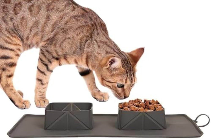 Generic Portable Pet Feeder Silicone Bowls For Dog And Cat Travel Collapsible Dish For Food And Water - ZEYTONCART