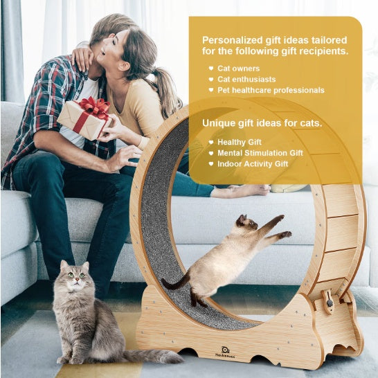 Cat Exercise Treadmill With Carpeted Runway - ZEYTONCART