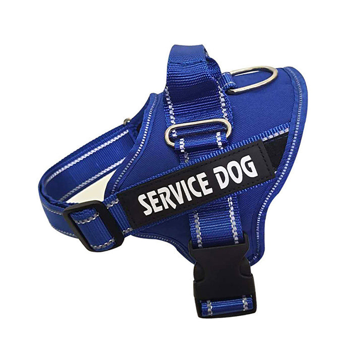 Personalization Of Pet Chest Strap Products - ZEYTONCART
