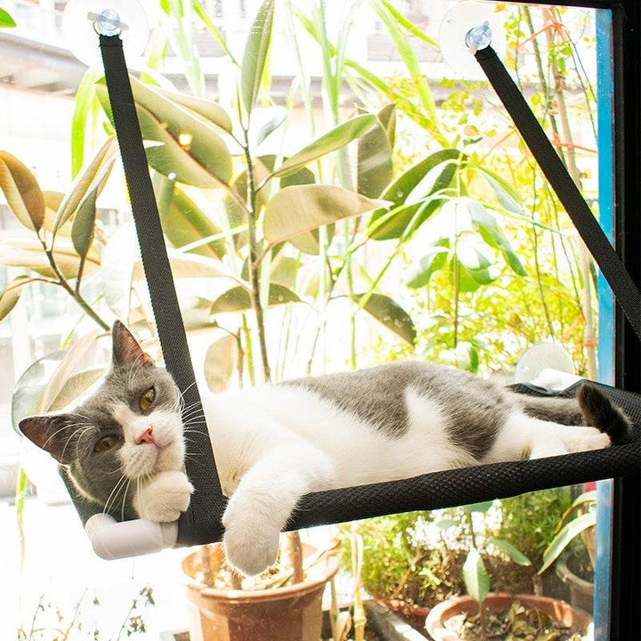 Four Seasons Cat Hammock Window Cat Nest Sucker Hanging - ZEYTONCART