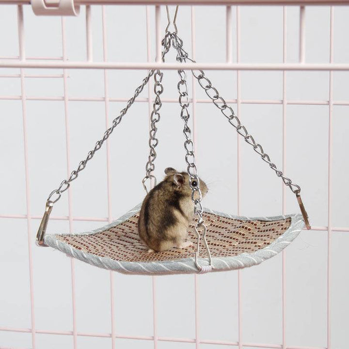 Chipmunks Cool Summer Sleep In Hammocks - ZEYTONCART
