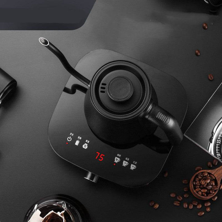 Smart Thermostat Electric Kettle Coffee Hand Pot - ZEYTONCART