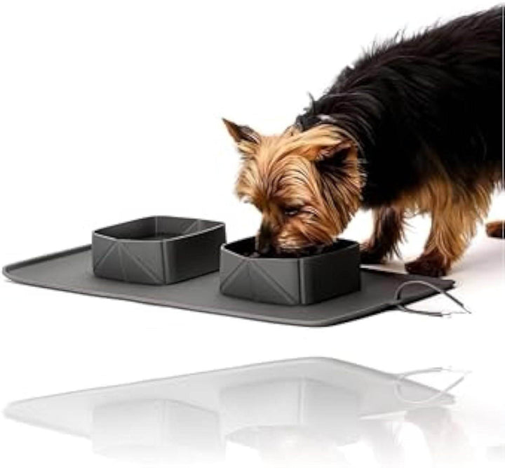 Generic Portable Pet Feeder Silicone Bowls For Dog And Cat Travel Collapsible Dish For Food And Water - ZEYTONCART