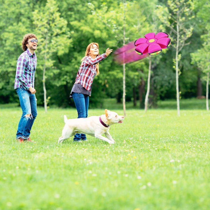 4 Pack Flying Saucer Ball Electric Colorful Flying Toy UFO Ball With LED Lights For Pet Children Outdoor Toy - ZEYTONCART