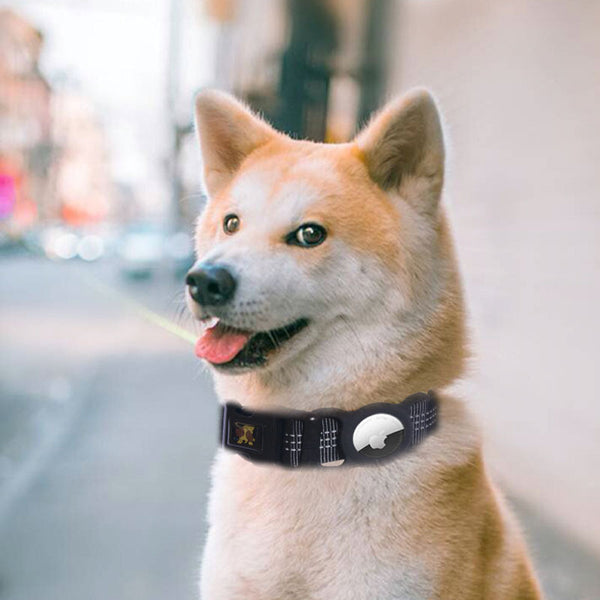 Pet Products Mobile Phone Tracker Protector - ZEYTONCART