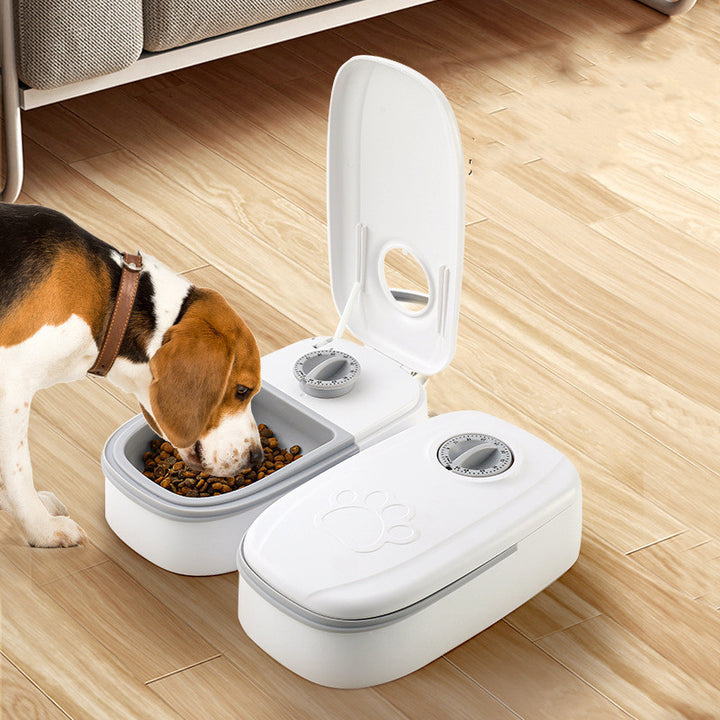 Automatic Pet Feeder Smart Food Dispenser For Cats Dogs Timer Stainless Steel Bowl Auto Dog Cat Pet Feeding Pets Supplies - ZEYTONCART