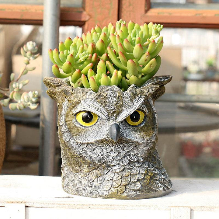 Zeyton Unique Garden Planters - Owl Face Design - ZEYTONCART